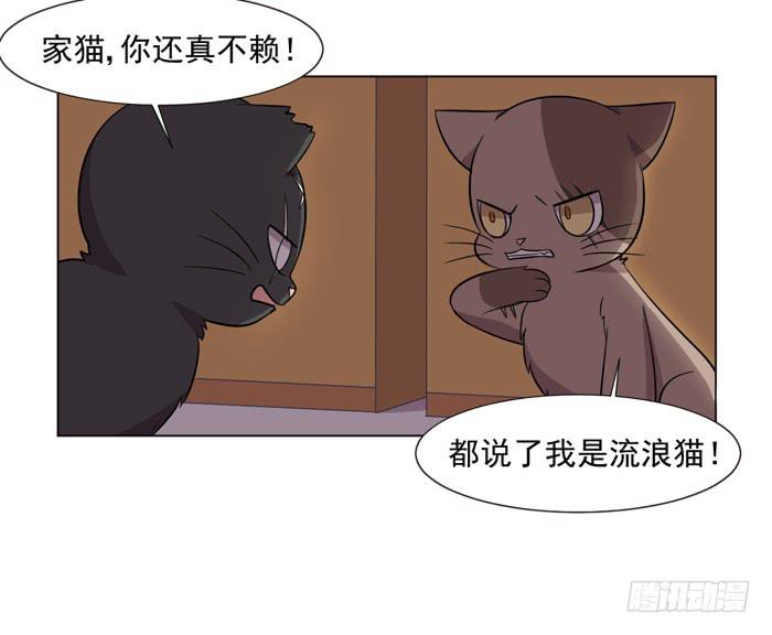 《双喵图腾》第042话 第43页
