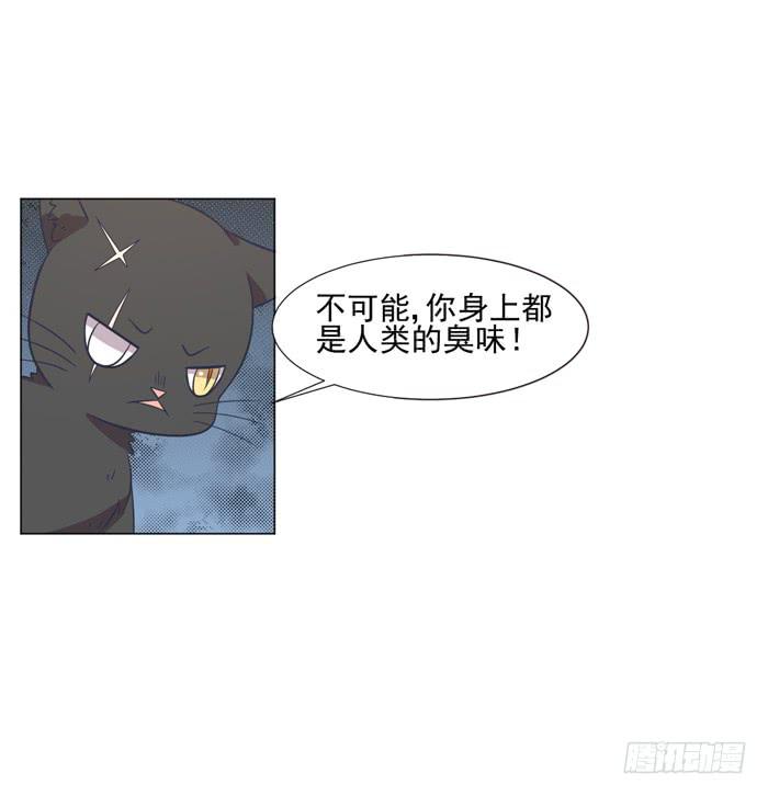《双喵图腾》第042话 第44页