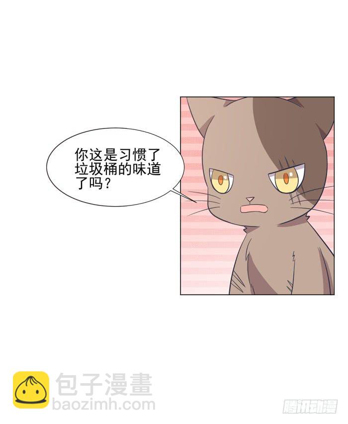 《双喵图腾》第042话 第45页
