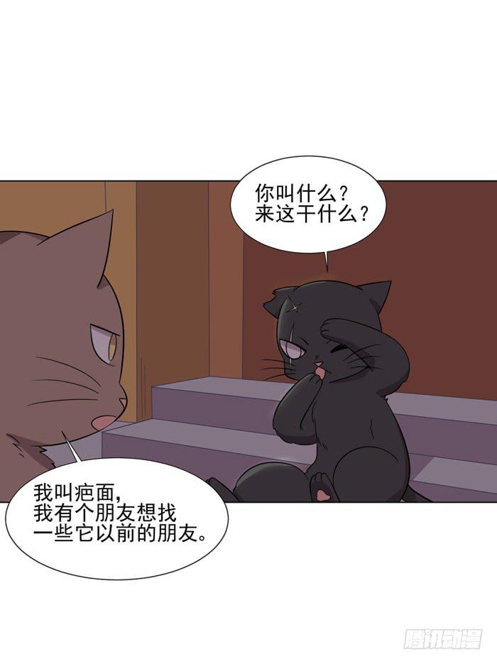 《双喵图腾》第042话 第46页