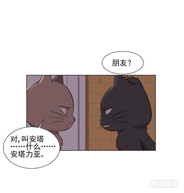 《双喵图腾》第042话 第47页
