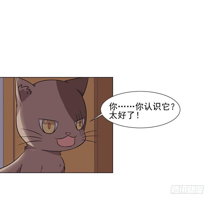 《双喵图腾》第042话 第50页