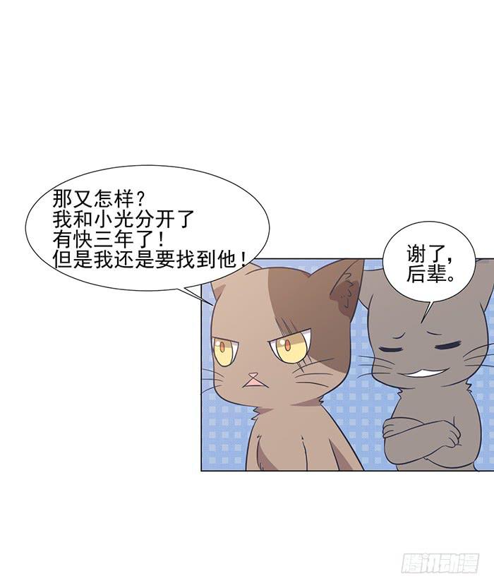 《双喵图腾》第042话 第5页
