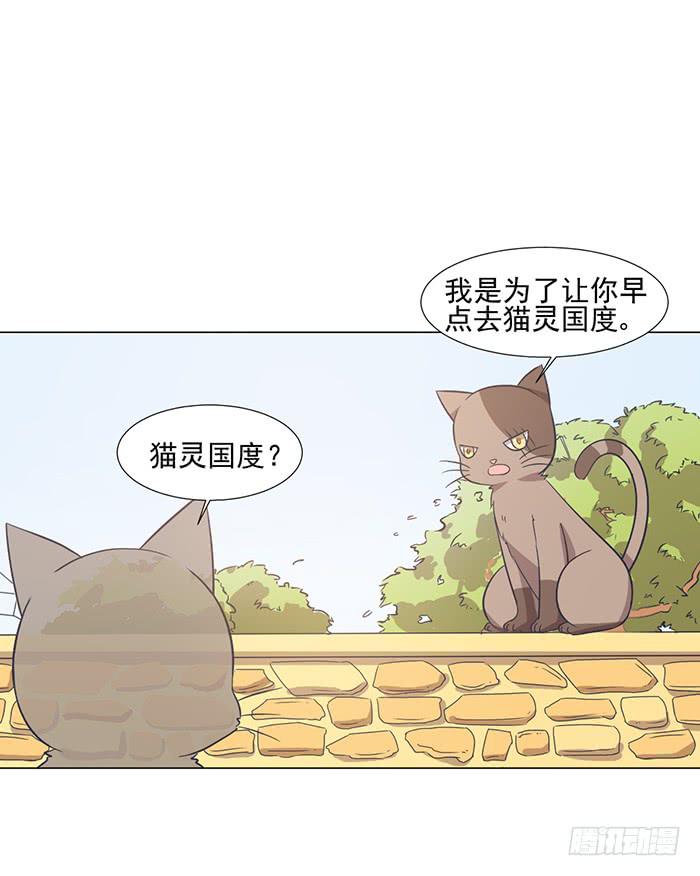 《双喵图腾》第042话 第6页