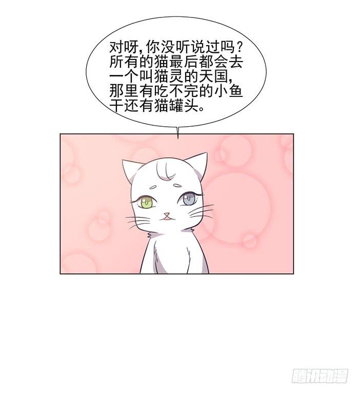 《双喵图腾》第042话 第7页