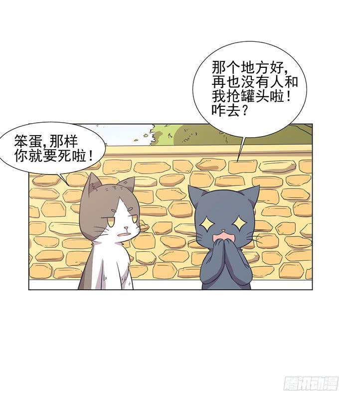 《双喵图腾》第042话 第8页