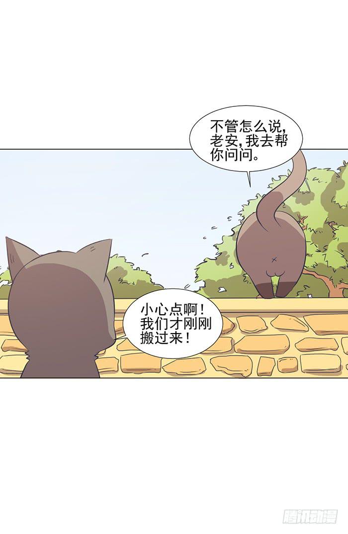 《双喵图腾》第042话 第9页