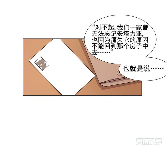 《双喵图腾》第045话 第12页