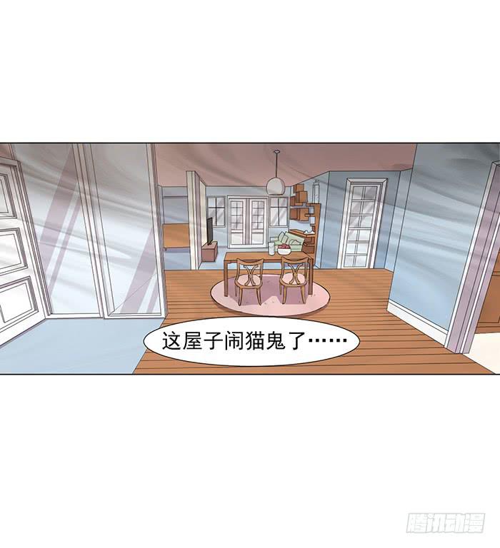 《双喵图腾》第045话 第13页