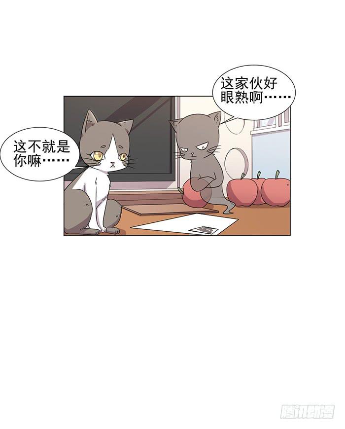 《双喵图腾》第045话 第14页