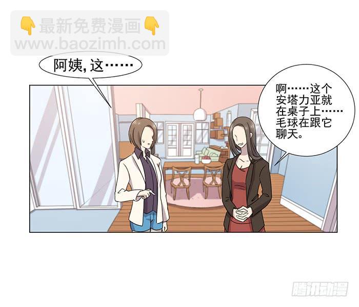 《双喵图腾》第045话 第15页