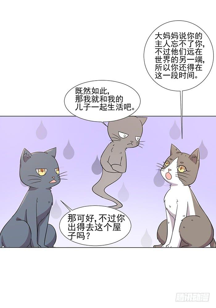 《双喵图腾》第045话 第18页