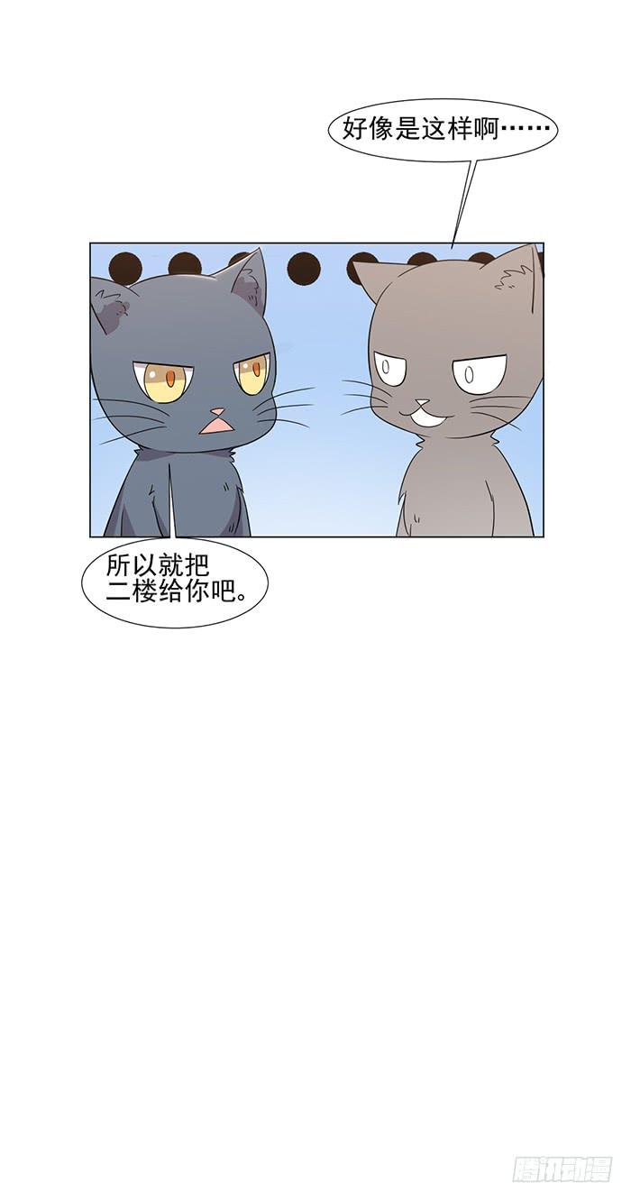 《双喵图腾》第045话 第19页