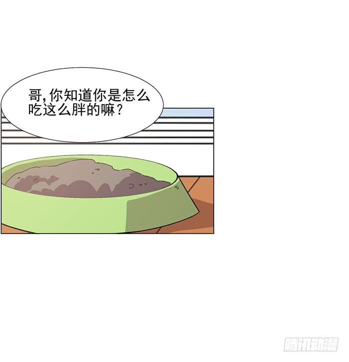 《双喵图腾》第045话 第22页