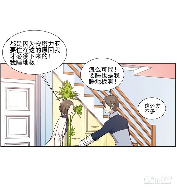 《双喵图腾》第045话 第31页