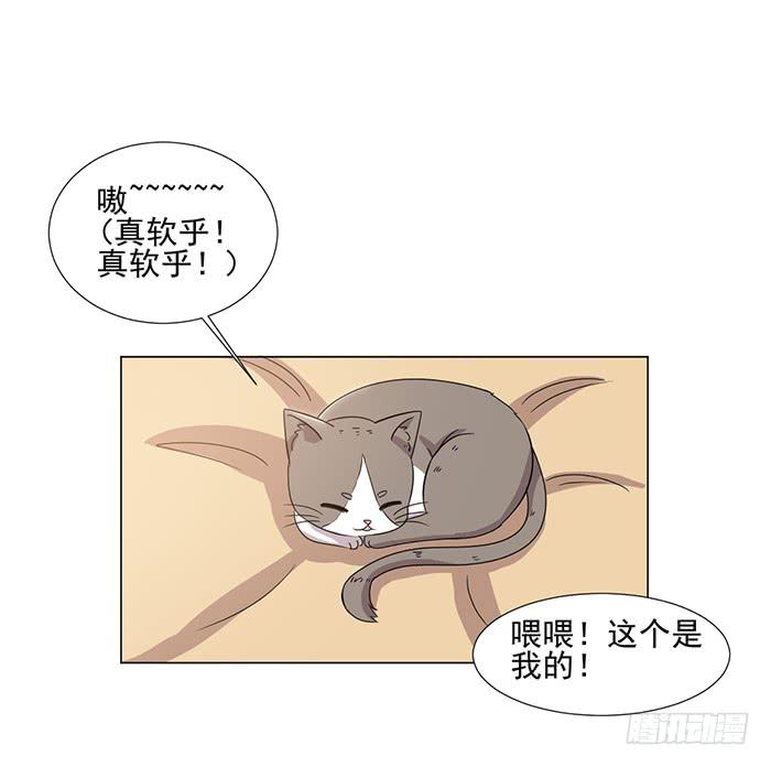 《双喵图腾》第045话 第32页