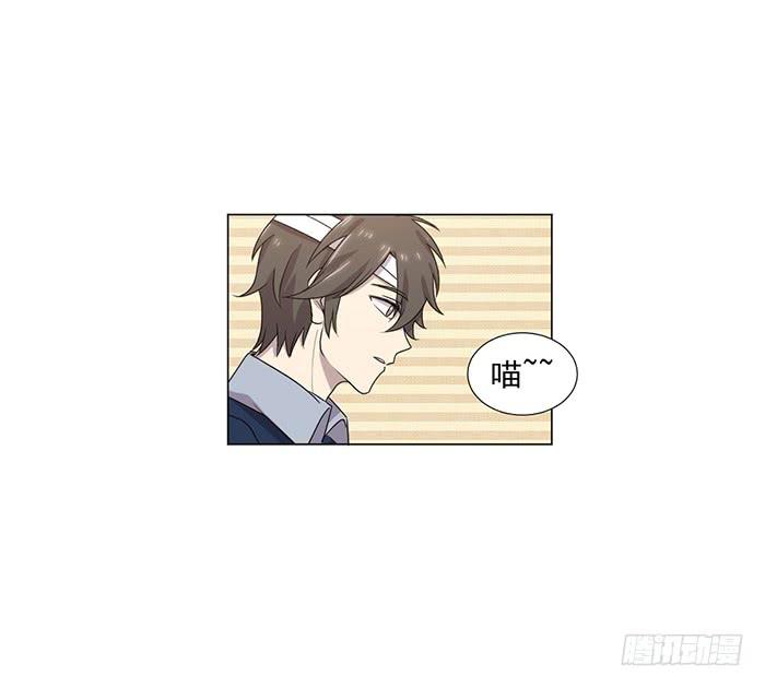 《双喵图腾》第045话 第3页