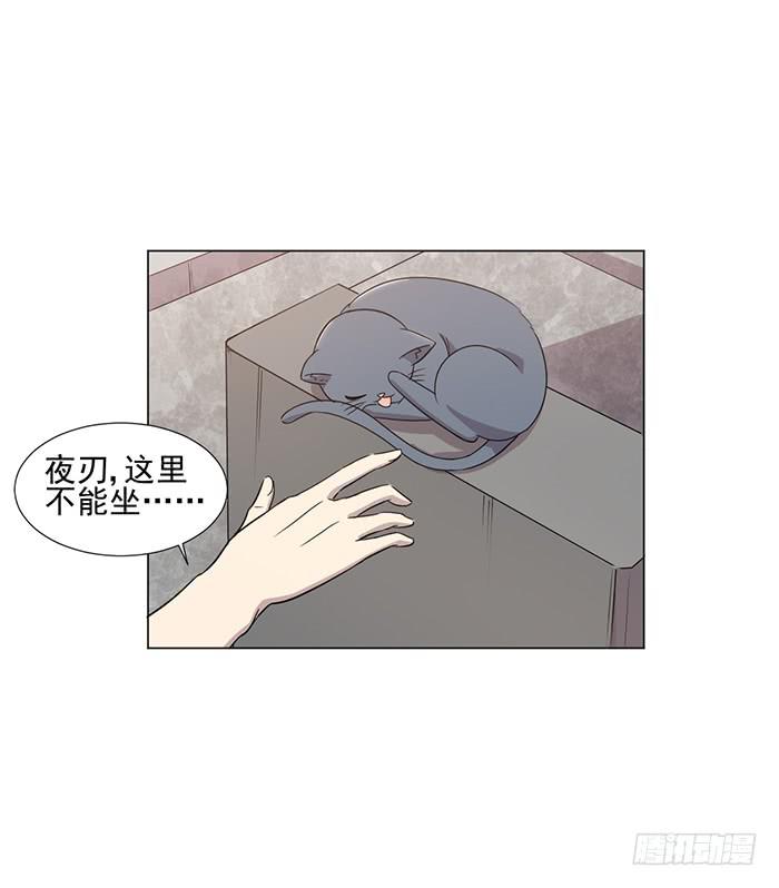 《双喵图腾》第045话 第4页