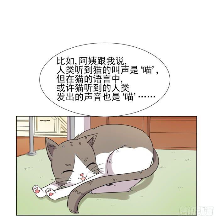 《双喵图腾》最终话 第27页