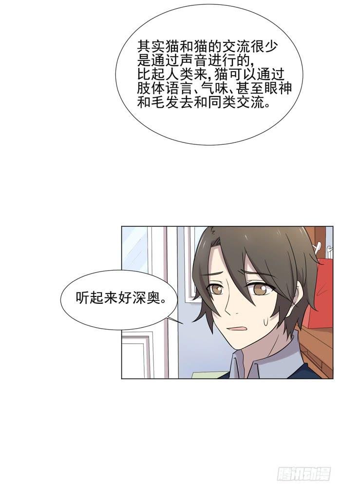 《双喵图腾》最终话 第28页