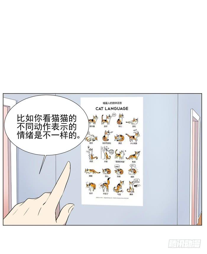 《双喵图腾》最终话 第29页