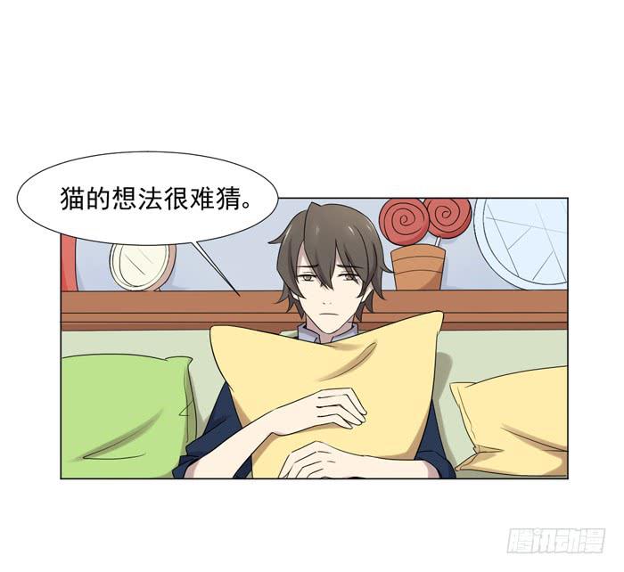 《双喵图腾》最终话 第33页