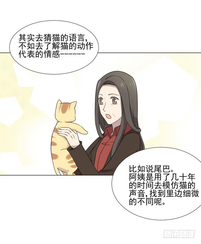 《双喵图腾》最终话 第34页
