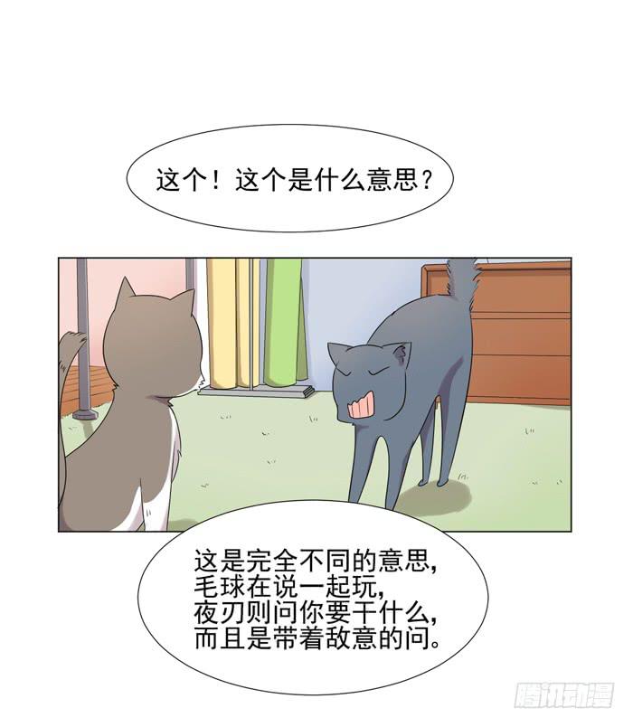 《双喵图腾》最终话 第35页