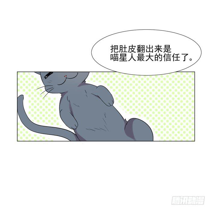 《双喵图腾》最终话 第39页