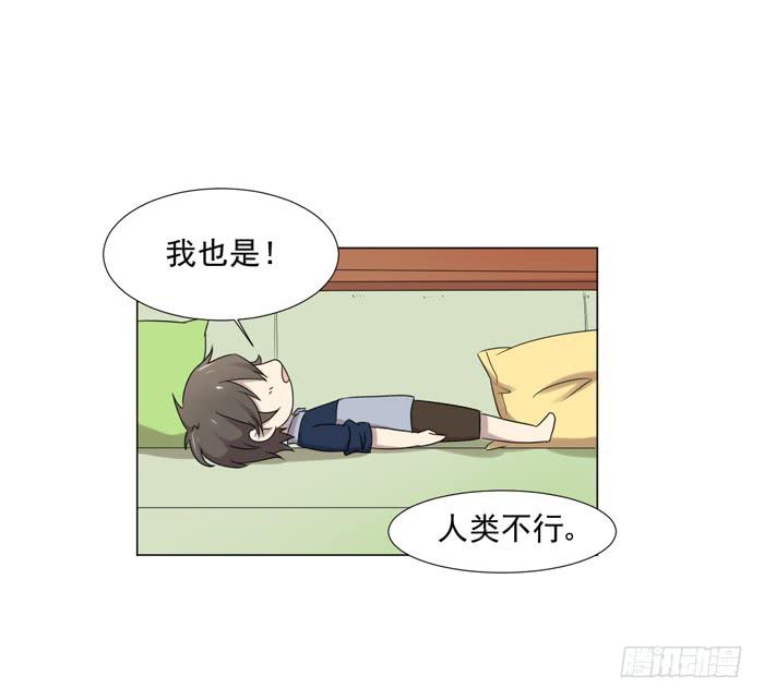 《双喵图腾》最终话 第40页