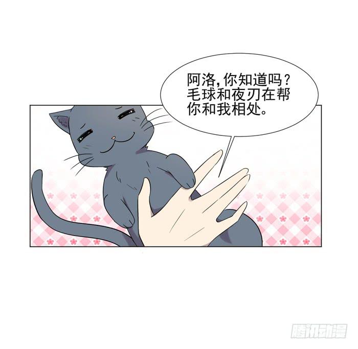 《双喵图腾》最终话 第41页