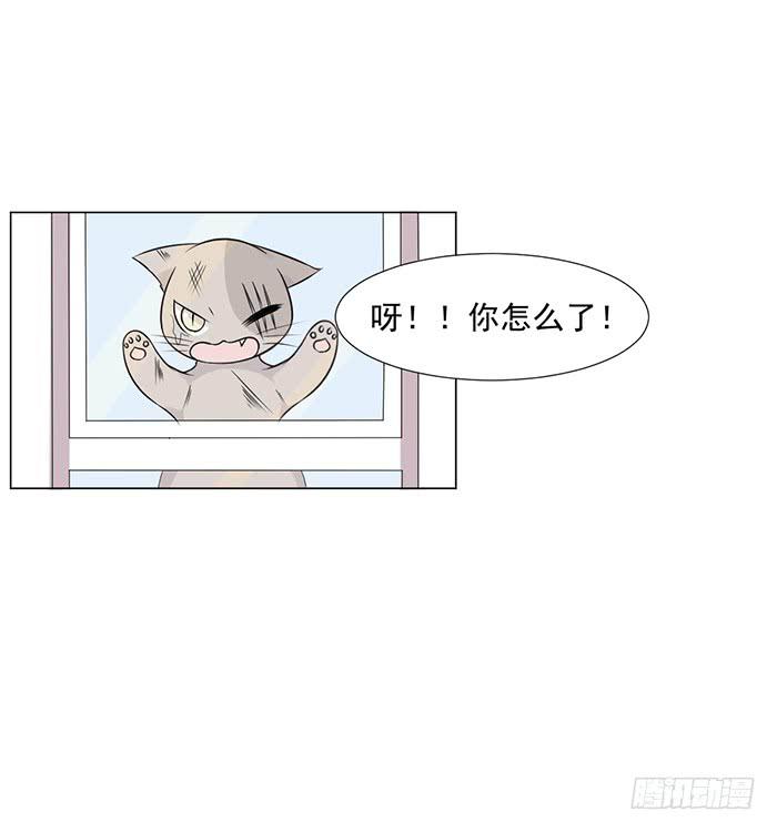 《双喵图腾》第043话 第24页