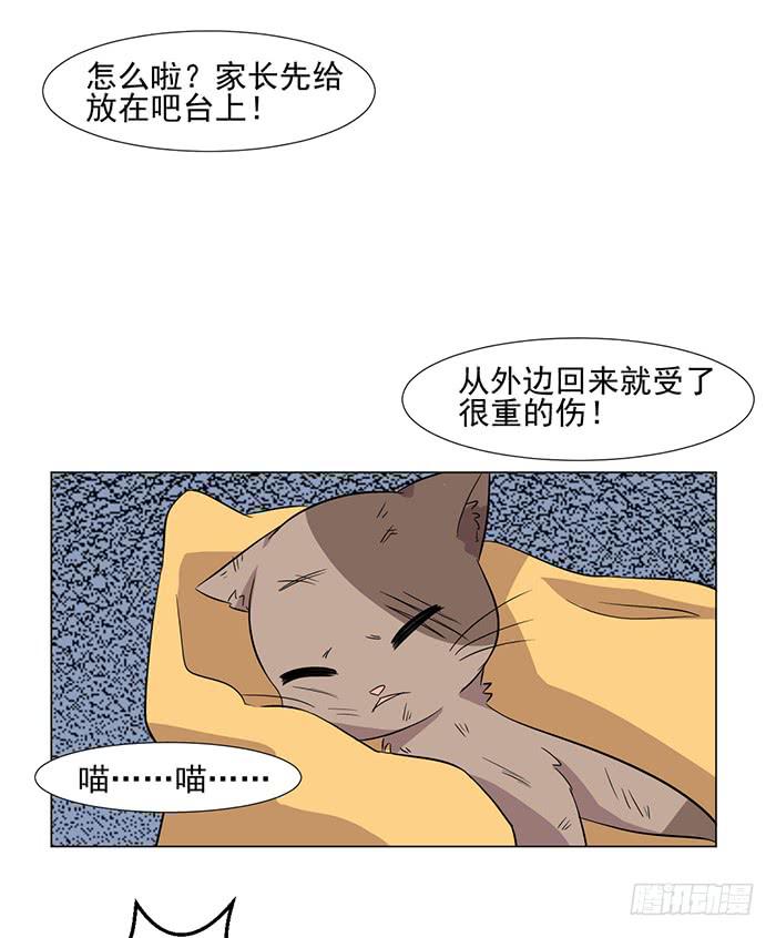 《双喵图腾》第043话 第27页