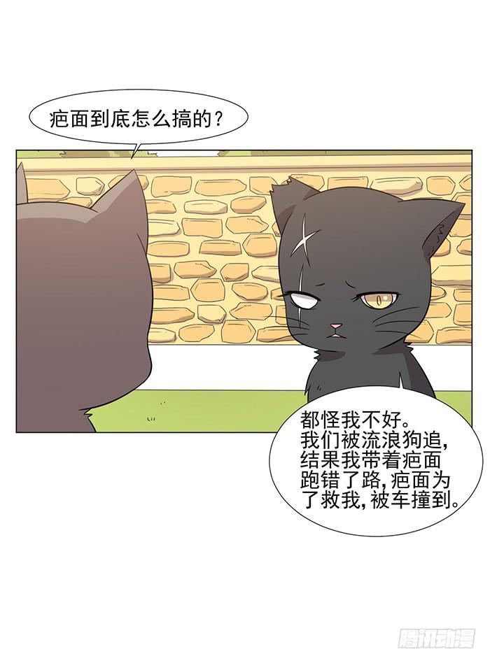 《双喵图腾》第043话 第32页