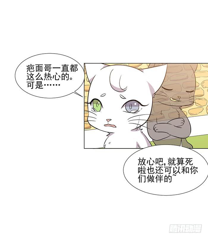 《双喵图腾》第043话 第33页