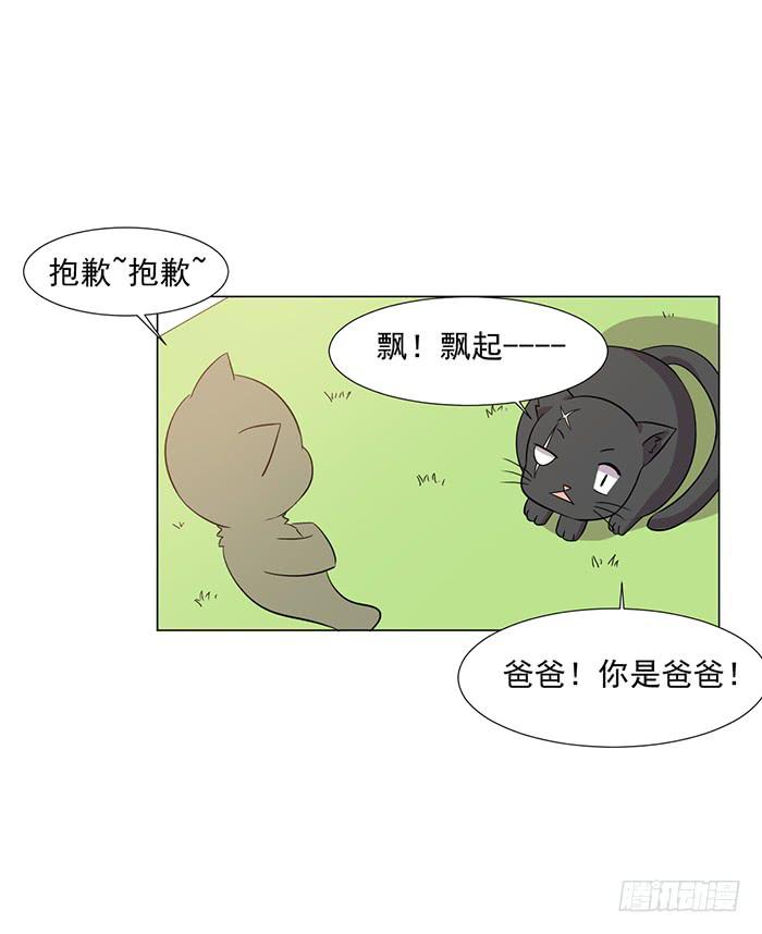 《双喵图腾》第043话 第35页