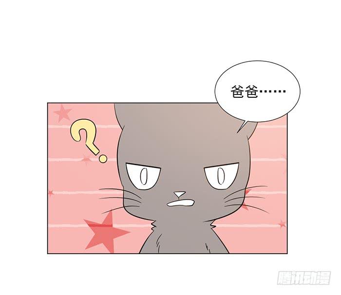 《双喵图腾》第043话 第36页