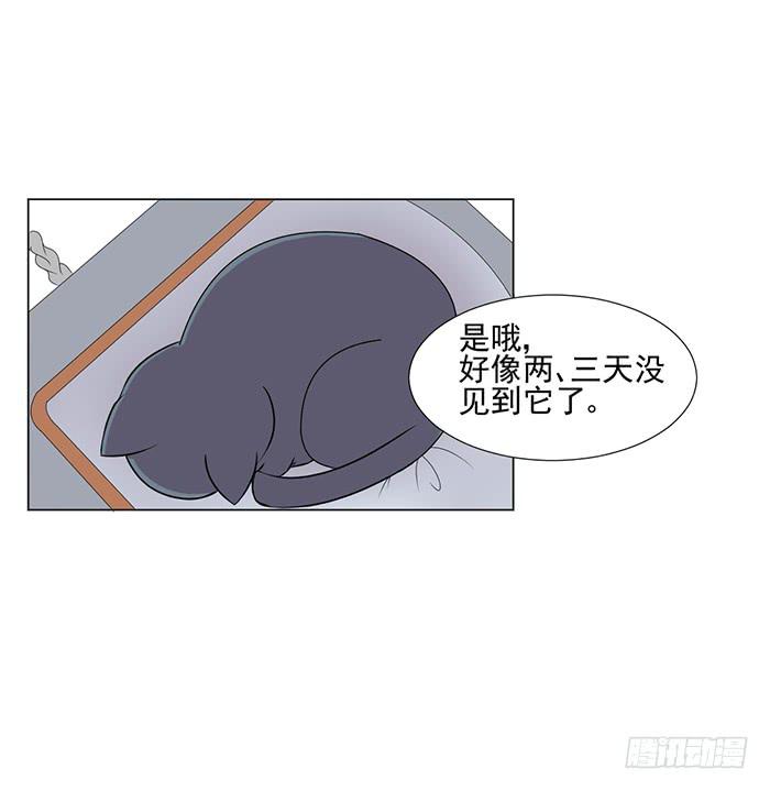 《双喵图腾》第043话 第5页