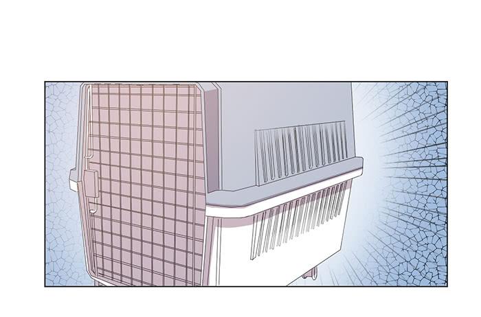 《双喵图腾》第044话 第40页