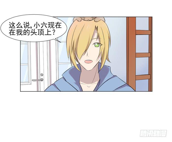 《双喵图腾》第044话 第41页