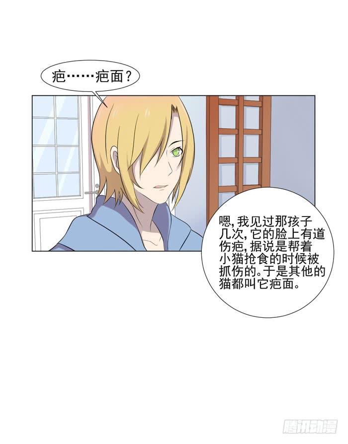 《双喵图腾》第044话 第45页