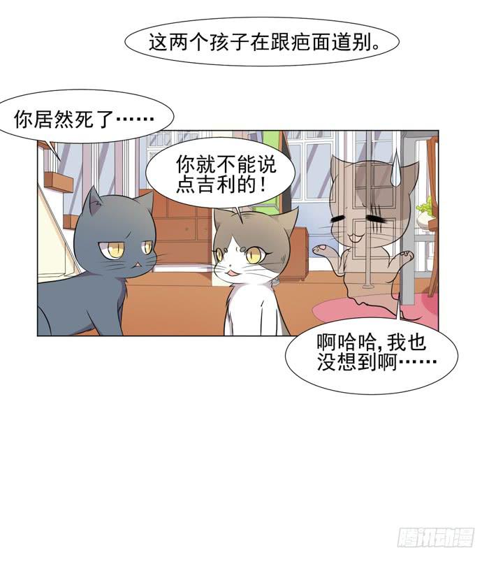 《双喵图腾》第044话 第47页