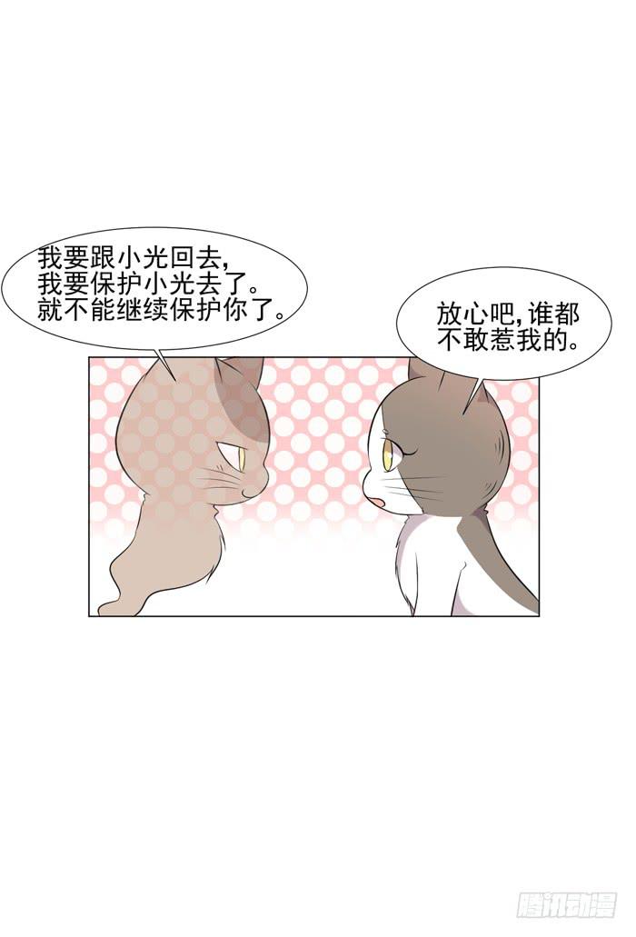 《双喵图腾》第044话 第49页