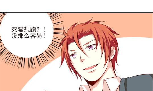 《鼠辈至上,猫辈走开》第05话 第19页