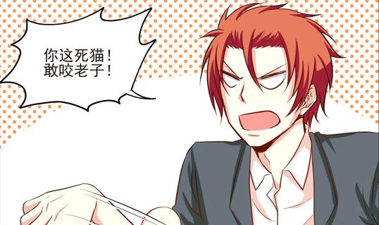 《鼠辈至上,猫辈走开》第06话 第19页