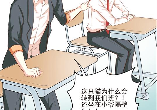 《鼠辈至上,猫辈走开》第06话 第35页