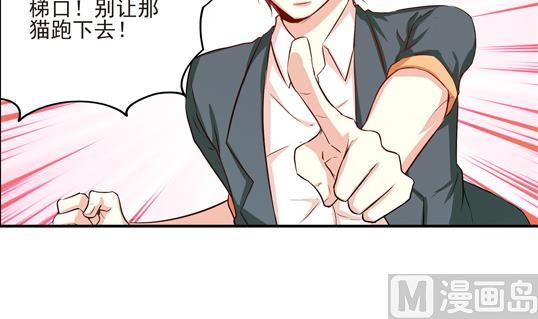 《鼠辈至上,猫辈走开》第06话 第6页