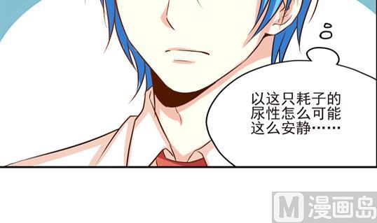 《鼠辈至上,猫辈走开》第08话 第36页