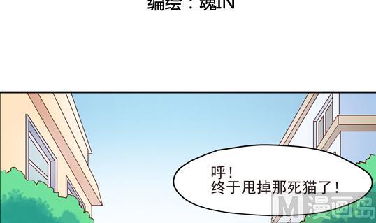 《鼠辈至上,猫辈走开》第12话 第3页