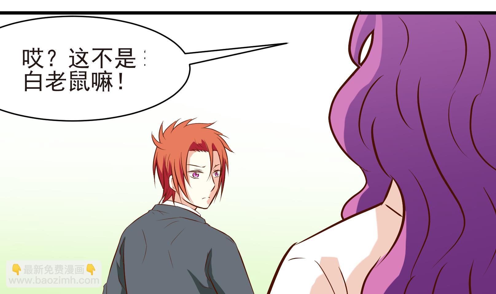 《鼠辈至上,猫辈走开》第37话 麻烦转校生 三 第11页